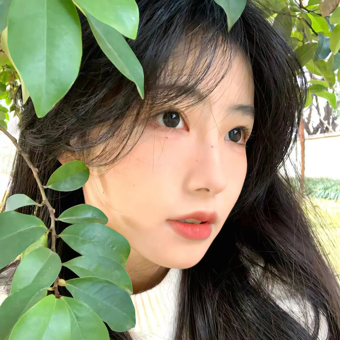 重案实录纸醉金迷